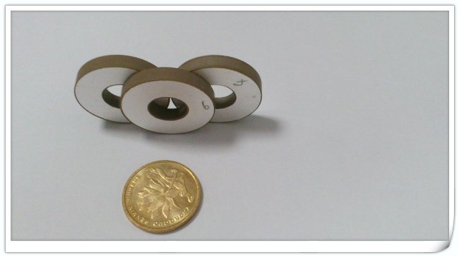10*5*2 Piezoelectric Ceramic Ring